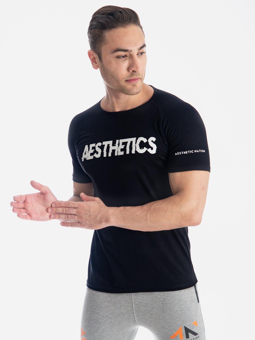 AESTHETICS TSHIRT Men's - AestheticNation