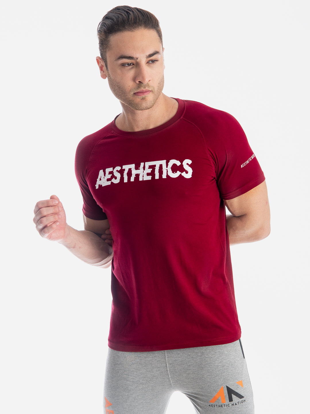 AESTHETICS TSHIRT Men's - AestheticNation